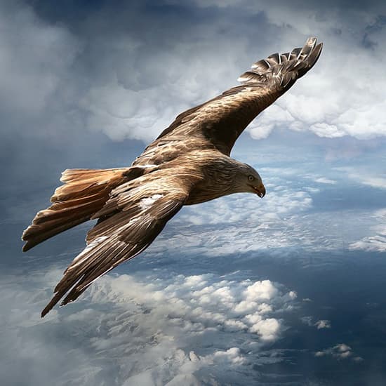 میثاق mm نرم افزار حسابداری پرنس | نسخه فروشگاهی (حرفه ای)